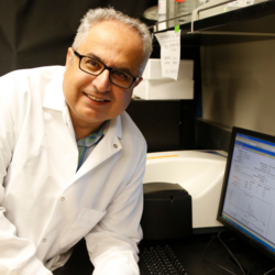 lab photo of Professor Bahman Anvari looking at camera 