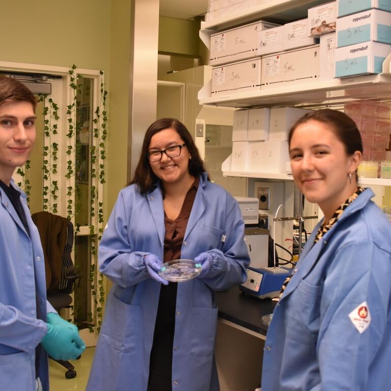 three researchers in the straehla lab